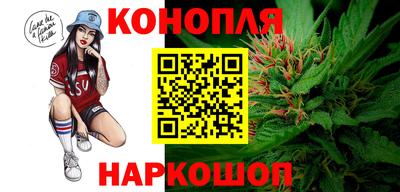 эйфоретик Славгород