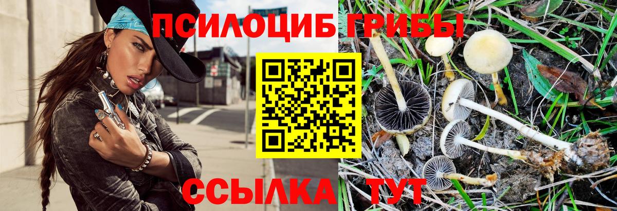 Галлюциногенные грибы Cubensis  Вход с VPN  Кондопога  Псилоцибиновые грибы GOLDEN TEACHER 