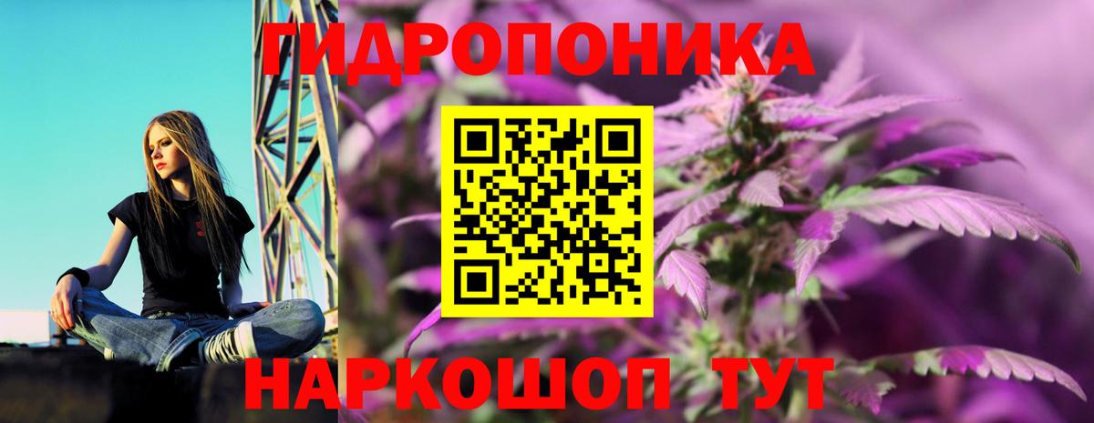Канабис White Widow Кондопога